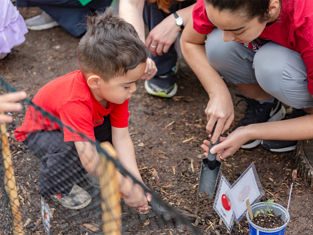 Young boy digs in the garden bed